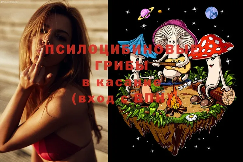 Псилоцибиновые грибы MAGIC MUSHROOMS  мега ССЫЛКА  Иланский 